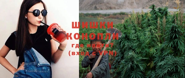 соль ск Богородицк