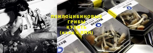 дурь Саяногорск