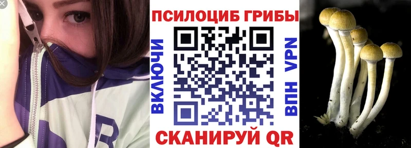 Галлюциногенные грибы ЛСД  наркошоп  Терек 