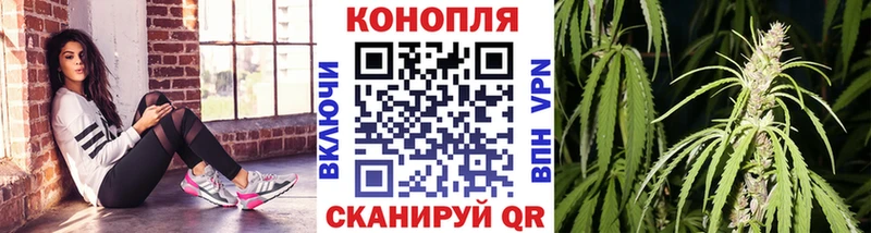 Конопля индика  хочу   Терек 